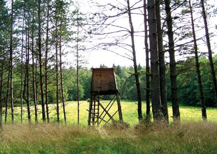So machen Jagdreisen Spaß!