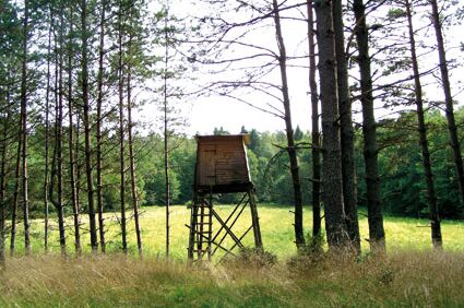 Jagdreisen mit Erfolgsgarantie